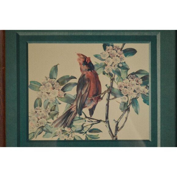 Cecil Golding Cardinal Framed Vintage Print - Picture 2 of 5